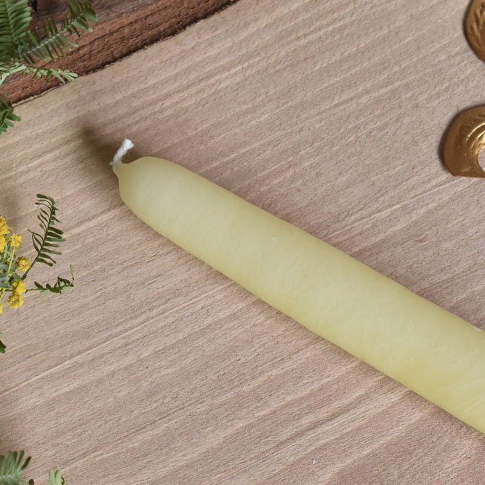 シエルジュコニック　（テーパーキャンドル）　20cm Jaune Pastel　（パステルイェロー）